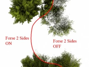 cornus alba Modello 3D