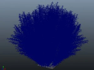 salix purpurea nana 3D Model