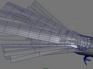 indian peafowl 3D Model