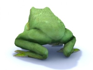 white lipped tree frog 3D Model
