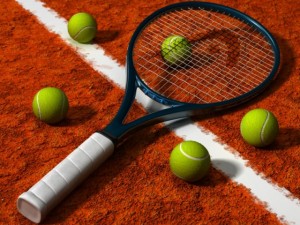 tennis racquet and balls 3D 模型