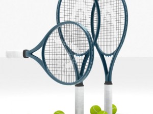 tennis racquet and balls 3D 模型