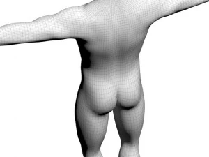 masculino Modelo 3D