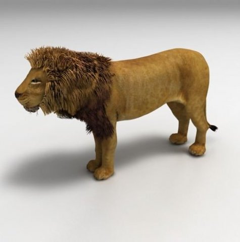 lion 3D Модель .c4d .max .obj .3ds .fbx .stl .blend 