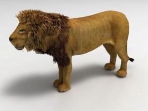 lion Model 3D