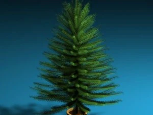 圣诞树 3D 模型