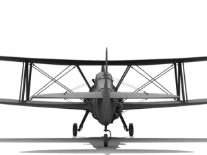 baron airplane 3D Model