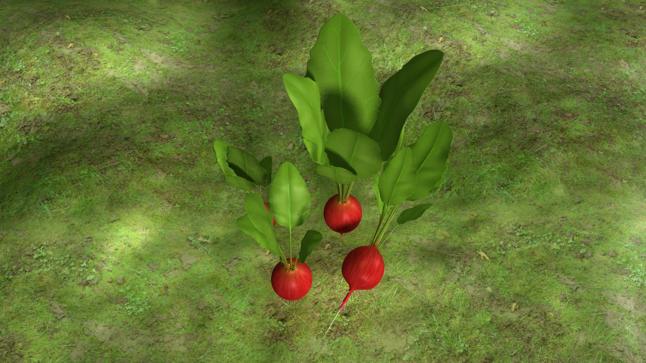 radish plant 3D Model .c4d .max .obj .3ds .fbx .stl .blend 