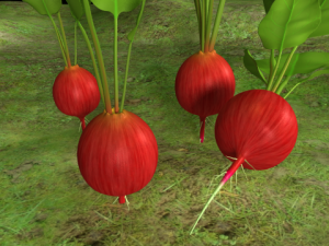 radish plant 3Dモデル