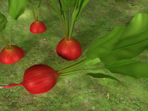 radish plant 3Dモデル