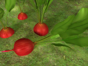 radish plant 3D Model