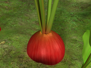 radish plant 3Dモデル