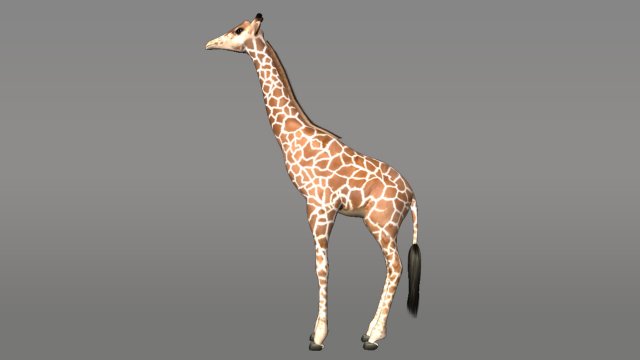 giraffe 3D 모델 .c4d .max .obj .3ds .fbx .stl .blend 