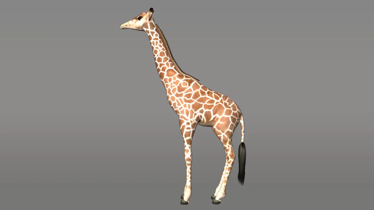 giraffe 3D Model .c4d .max .obj .3ds .fbx .stl .blend 