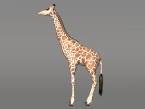 giraffe Modello 3D