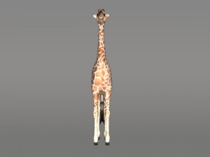 giraffe 3D 모델