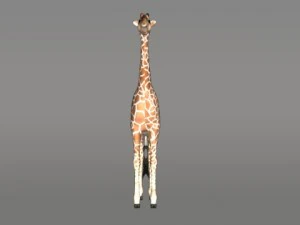 giraffe 3D Model