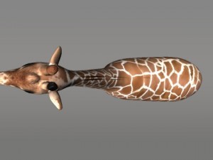 giraffe 3D 모델
