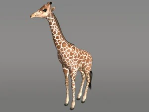 giraffe 3D Model