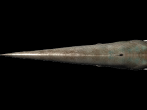 wallago fish 3D-Modell