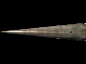wallago fish 3D Model