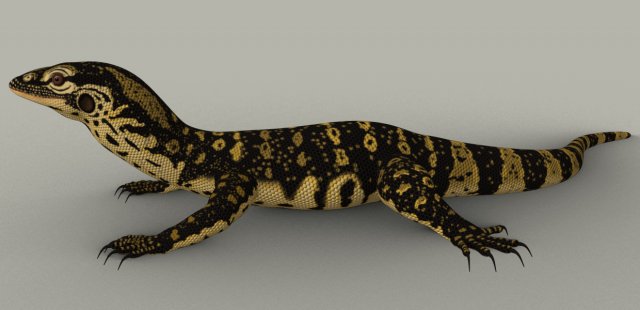 monitor lizard 3D मॉडल .c4d .max .obj .3ds .fbx .stl .blend 