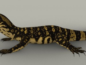 monitor lizard 3D Model