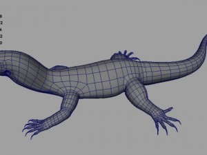 monitor lizard 3D मॉडल