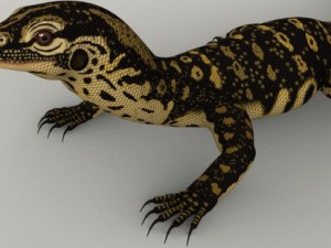 monitor lizard 3D मॉडल