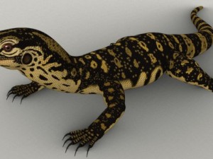 monitor lizard 3D मॉडल