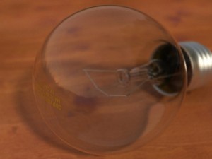 bulp 3D Model