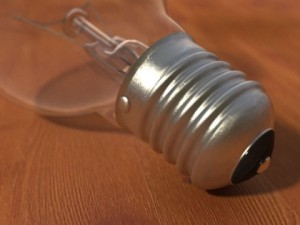 bulp 3D Model