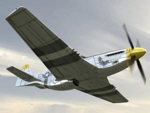 p51d fighter 3D Model