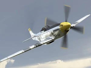 p51d fighter 3D Model
