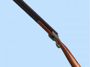 shotfbx and obj 3D Model