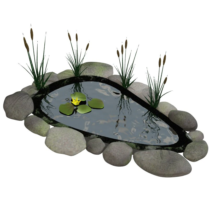fish pond 3D Model .c4d .max .obj .3ds .fbx .stl .blend 