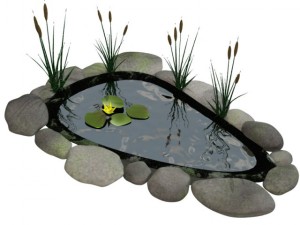 fish pond Modelo 3D