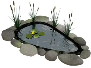 stagno di pesci Modello 3D