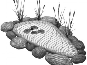 fish pond 3Dモデル