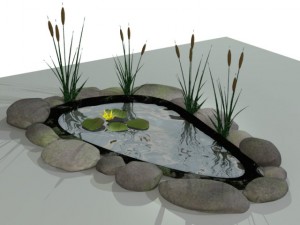 fish pond 3Dモデル