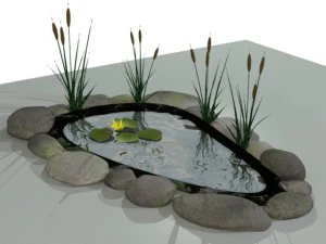 fish pond 3D Model