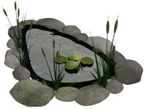 fish pond 3Dモデル