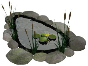 fish pond 3D Model