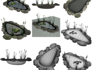 fish pond 3Dモデル