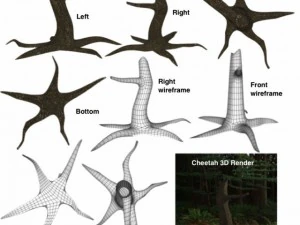 мертвое дерево 3D Модель