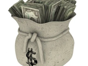 sack of money 3D Model