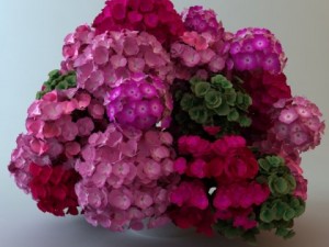 plants in pot 3D 模型