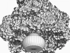 plants in pot 3D Model