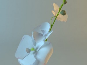 white vase with flowers 3D 模型