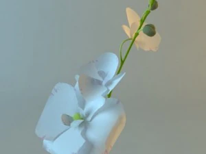 white vase with flowers 3D Model
